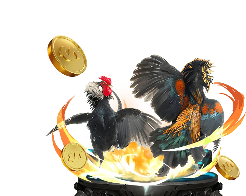 Hướng dẫn tải và cài đặt ứng dụng đá gà